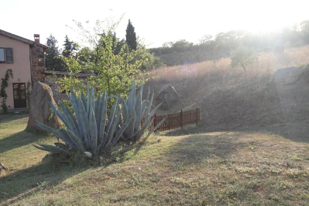 Casale Meraviglioso Val D'orcia Con Piscina Villa